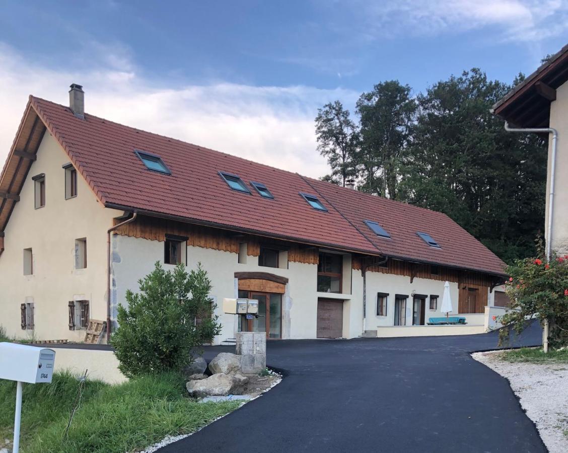 T2 Meuble De 40M2 Axe Annecy/Geneve Apartment Saint-Martin-Bellevue Luaran gambar